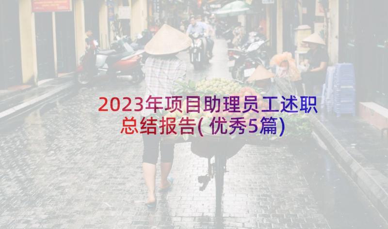 2023年项目助理员工述职总结报告(优秀5篇)