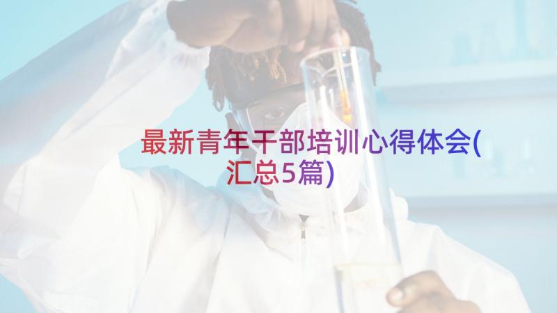 最新青年干部培训心得体会(汇总5篇)