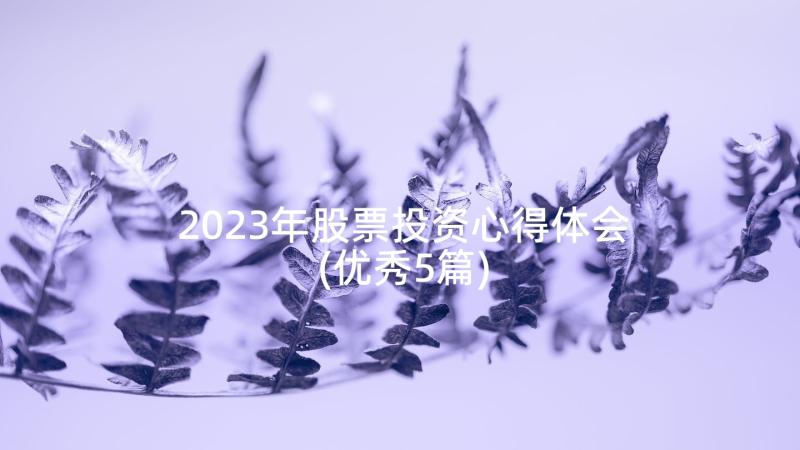 2023年股票投资心得体会(优秀5篇)