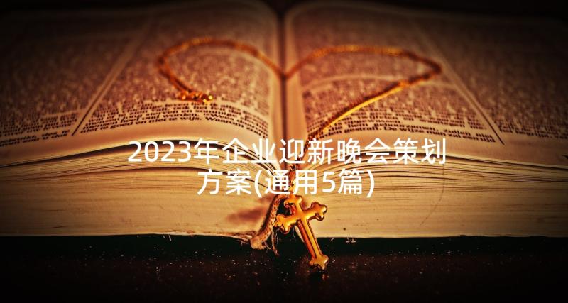 2023年企业迎新晚会策划方案(通用5篇)