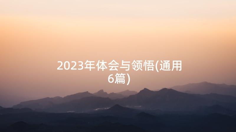 2023年体会与领悟(通用6篇)