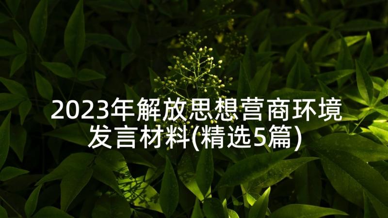 2023年解放思想营商环境发言材料(精选5篇)