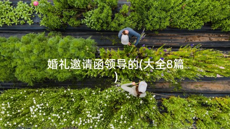 婚礼邀请函领导的(大全8篇)