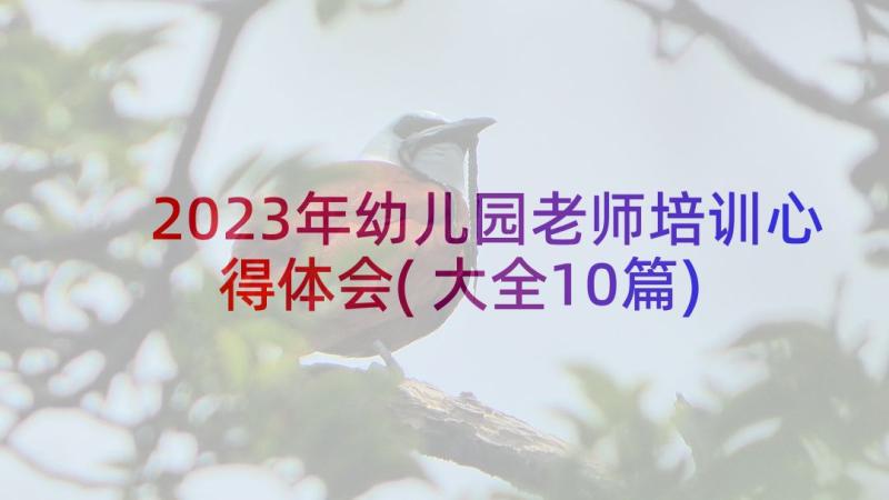 2023年幼儿园老师培训心得体会(大全10篇)