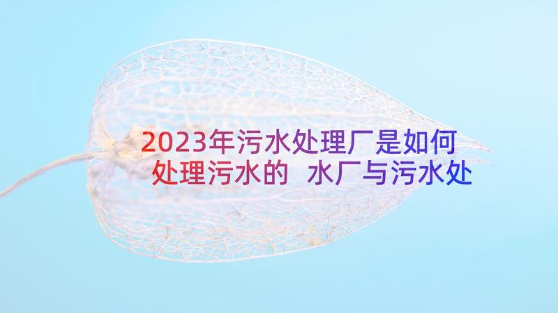 2023年污水处理厂是如何处理污水的 水厂与污水处理厂心得体会(精选6篇)