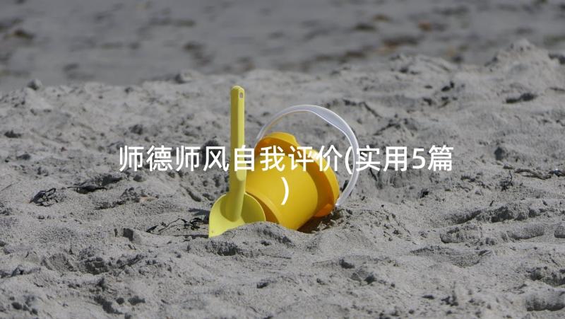 师德师风自我评价(实用5篇)