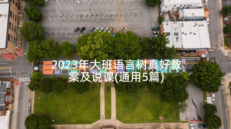 2023年大班语言树真好教案及说课(通用5篇)