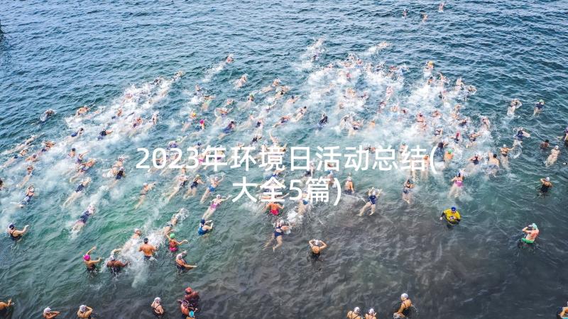 2023年环境日活动总结(大全5篇)