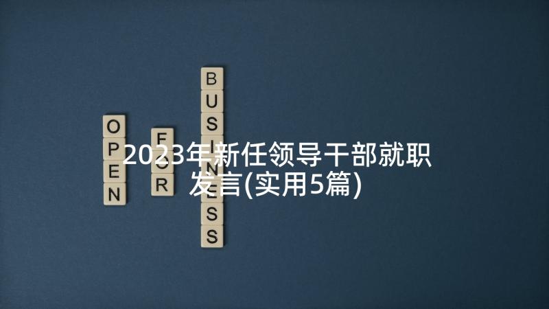 2023年新任领导干部就职发言(实用5篇)