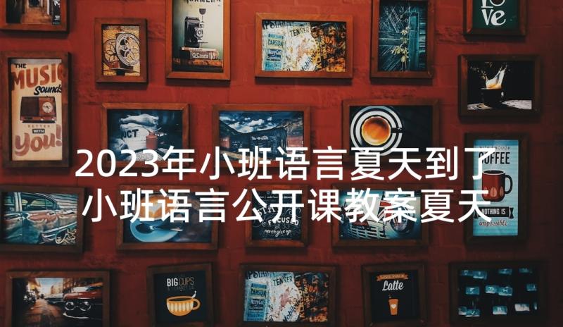 2023年小班语言夏天到了 小班语言公开课教案夏天的太阳很顽皮(精选5篇)