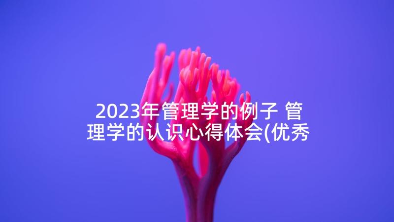 2023年管理学的例子 管理学的认识心得体会(优秀10篇)