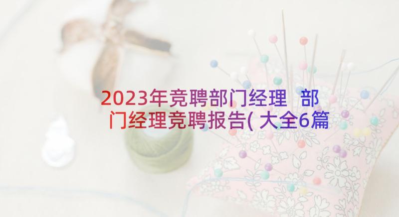 2023年竞聘部门经理 部门经理竞聘报告(大全6篇)