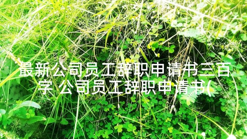 最新公司员工辞职申请书三百字 公司员工辞职申请书(精选5篇)