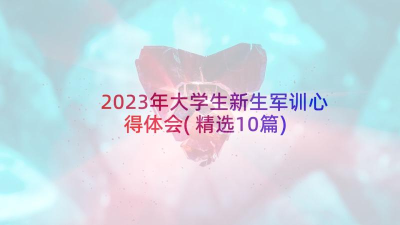 2023年大学生新生军训心得体会(精选10篇)