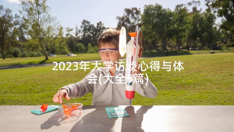 2023年大学访谈心得与体会(大全5篇)