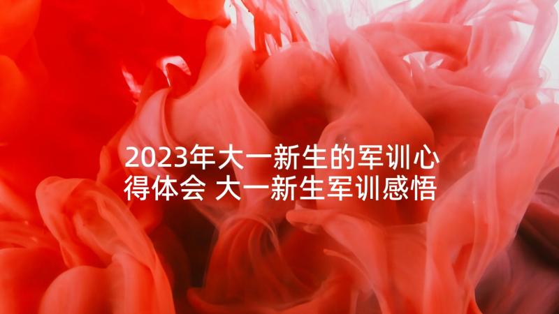 2023年大一新生的军训心得体会 大一新生军训感悟心得体会(模板5篇)