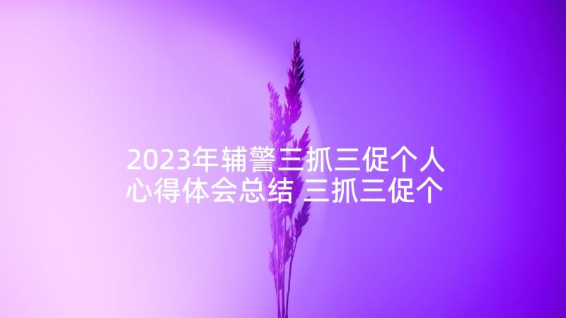 2023年辅警三抓三促个人心得体会总结 三抓三促个人心得体会(汇总5篇)