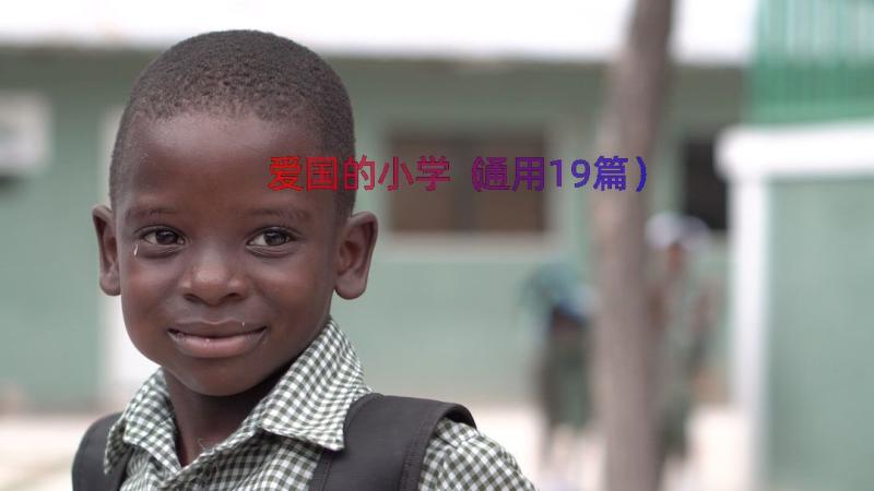 爱国的小学（通用19篇）