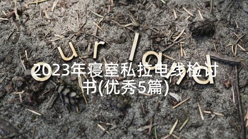 2023年寝室私拉电线检讨书(优秀5篇)