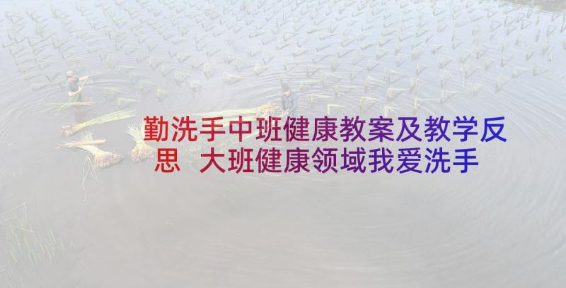 勤洗手中班健康教案及教学反思 大班健康领域我爱洗手教案(实用5篇)