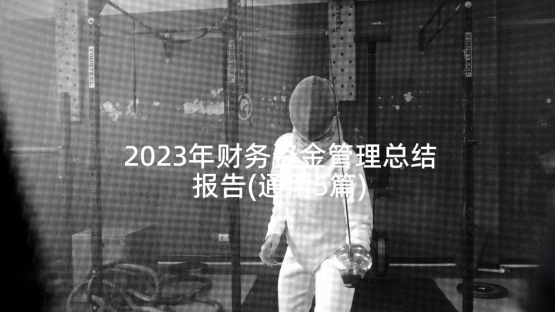 2023年财务资金管理总结报告(通用5篇)