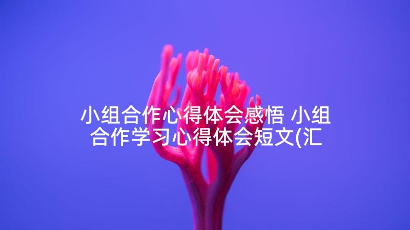 小组合作心得体会感悟 小组合作学习心得体会短文(汇总9篇)