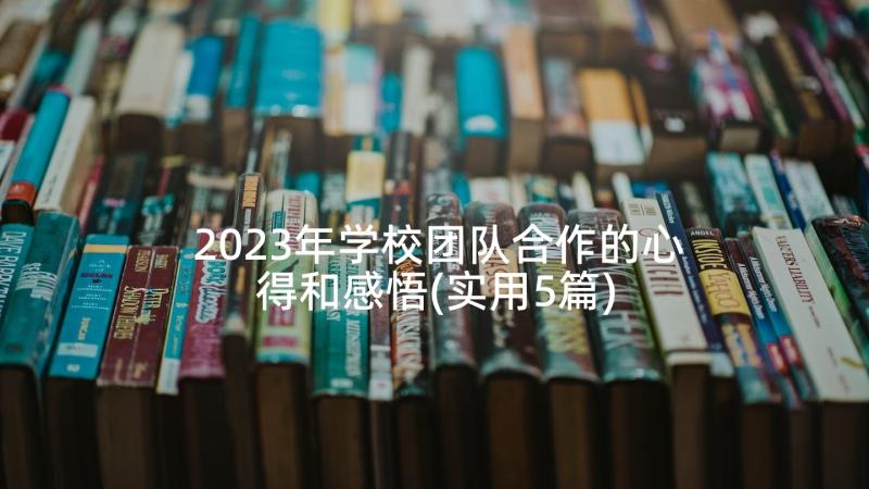 2023年学校团队合作的心得和感悟(实用5篇)