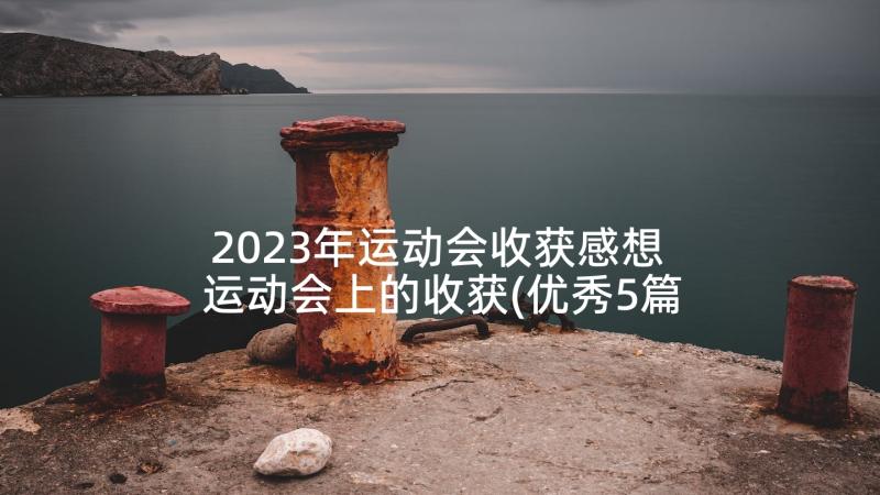 2023年运动会收获感想 运动会上的收获(优秀5篇)