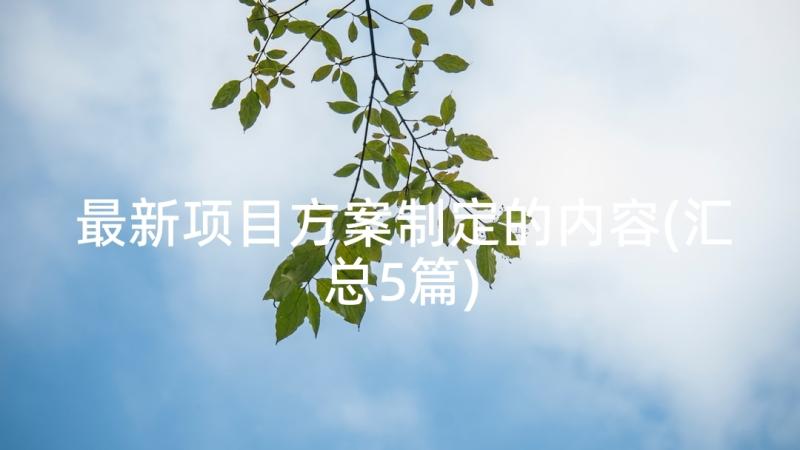 最新项目方案制定的内容(汇总5篇)