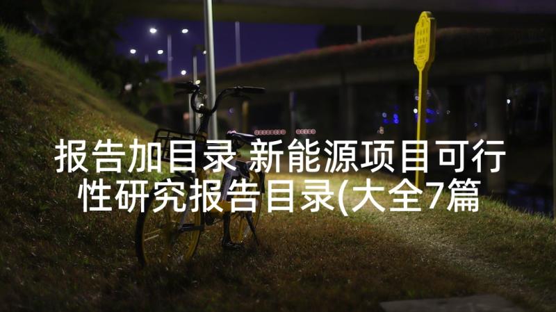 报告加目录 新能源项目可行性研究报告目录(大全7篇)