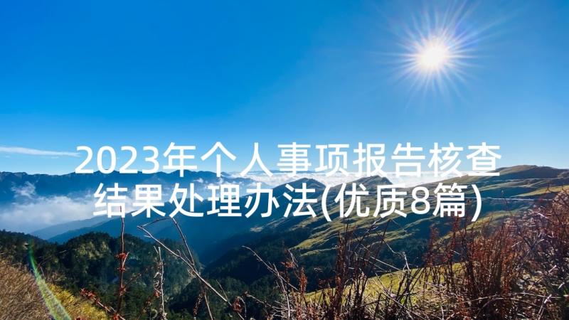 2023年个人事项报告核查结果处理办法(优质8篇)