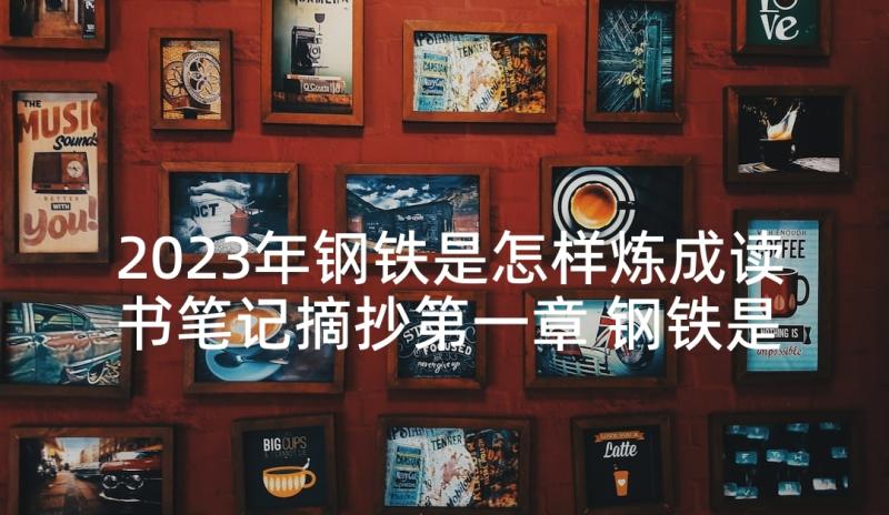 2023年钢铁是怎样炼成读书笔记摘抄第一章 钢铁是怎样炼成的读书笔记摘抄好词(汇总8篇)