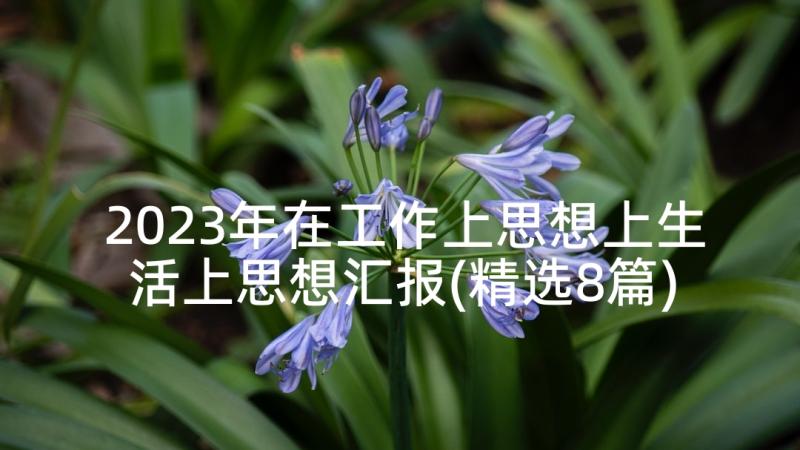 2023年在工作上思想上生活上思想汇报(精选8篇)