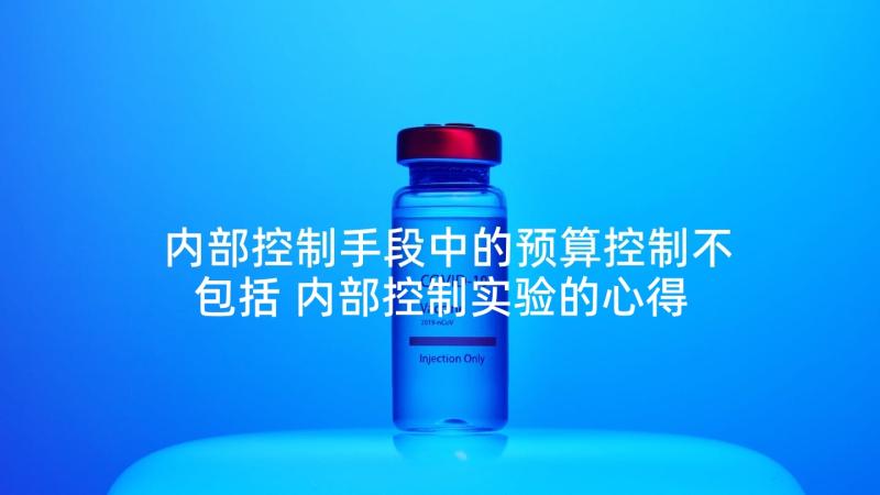 内部控制手段中的预算控制不包括 内部控制实验的心得体会(精选7篇)