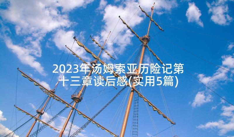 2023年汤姆索亚历险记第十三章读后感(实用5篇)