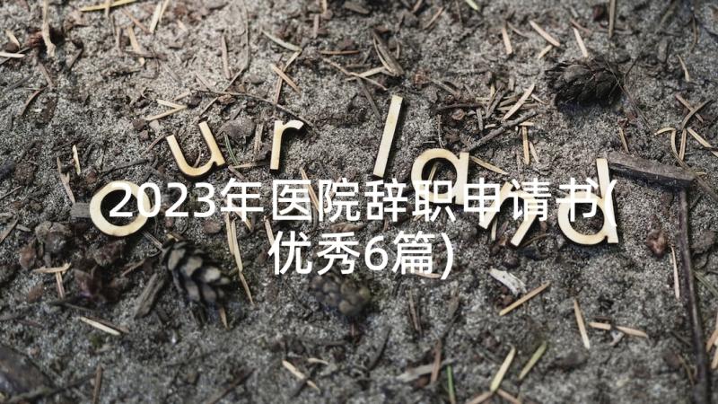 2023年医院辞职申请书(优秀6篇)