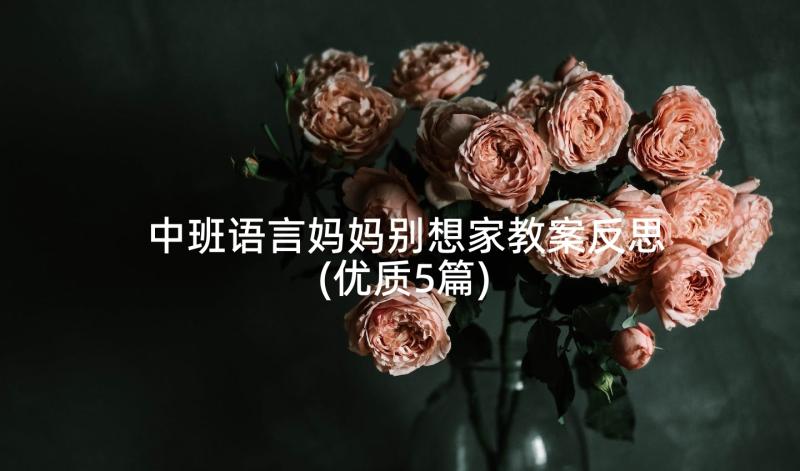 中班语言妈妈别想家教案反思(优质5篇)