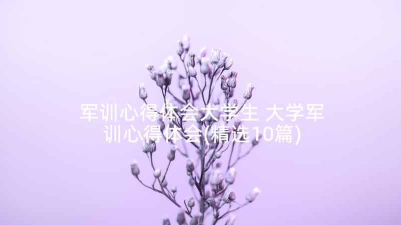 军训心得体会大学生 大学军训心得体会(精选10篇)