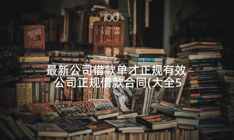 最新公司借款单才正规有效 公司正规借款合同(大全5篇)