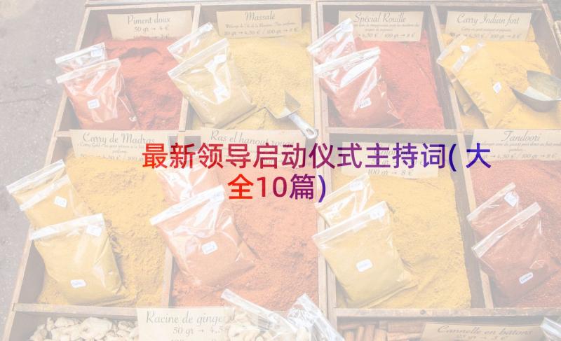 最新领导启动仪式主持词(大全10篇)