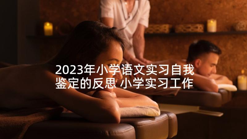 2023年小学语文实习自我鉴定的反思 小学实习工作自我总结(优秀9篇)