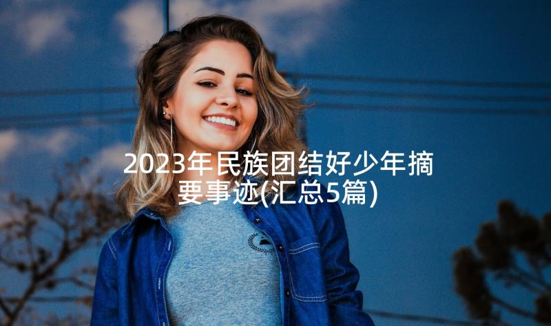 2023年民族团结好少年摘要事迹(汇总5篇)