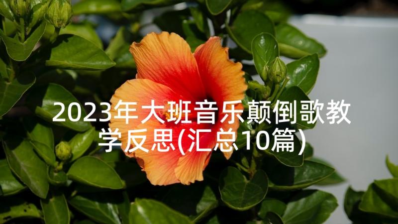 2023年大班音乐颠倒歌教学反思(汇总10篇)