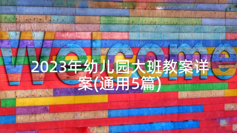 2023年幼儿园大班教案详案(通用5篇)