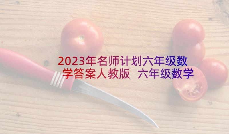 2023年名师计划六年级数学答案人教版 六年级数学教学计划人教版(大全9篇)