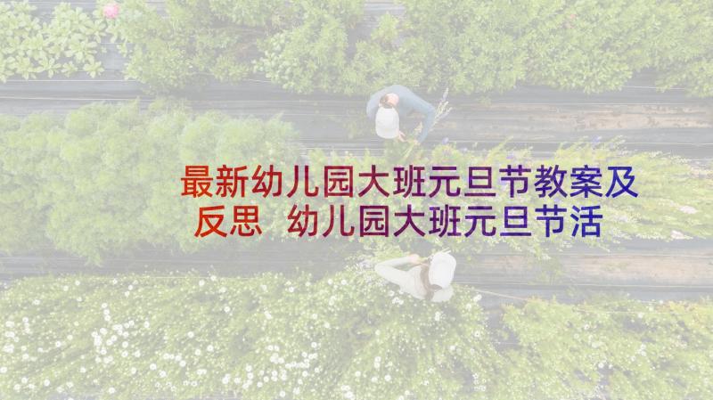 最新幼儿园大班元旦节教案及反思 幼儿园大班元旦节活动方案(大全9篇)