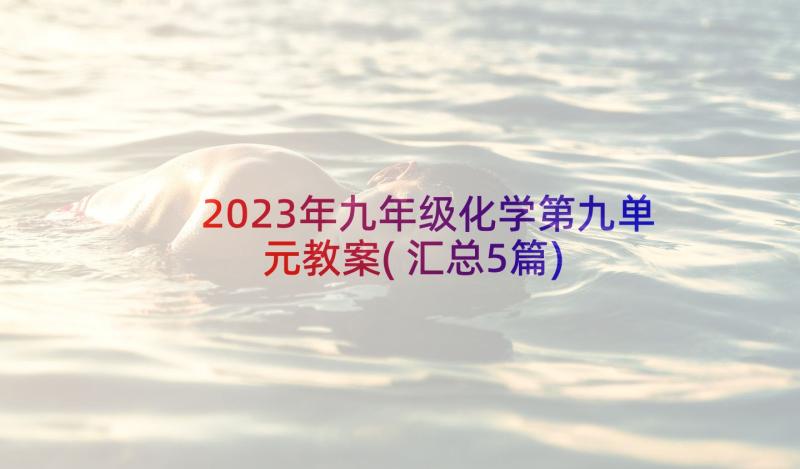 2023年九年级化学第九单元教案(汇总5篇)