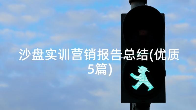 沙盘实训营销报告总结(优质5篇)