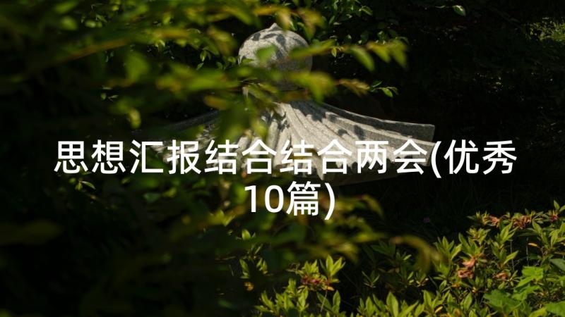 思想汇报结合结合两会(优秀10篇)