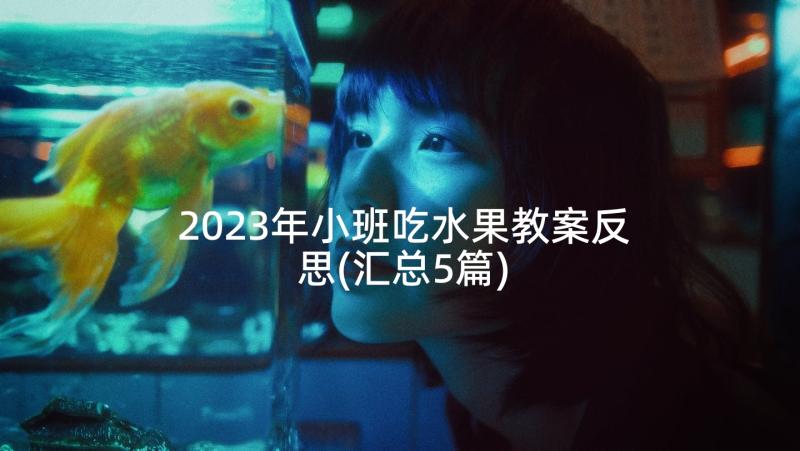 2023年小班吃水果教案反思(汇总5篇)